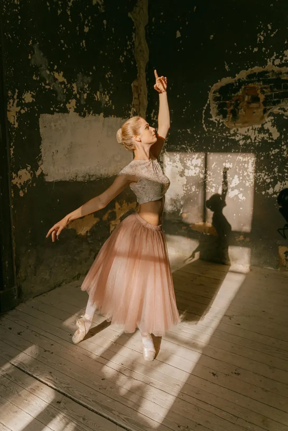Maple Motion Dance Studio 8